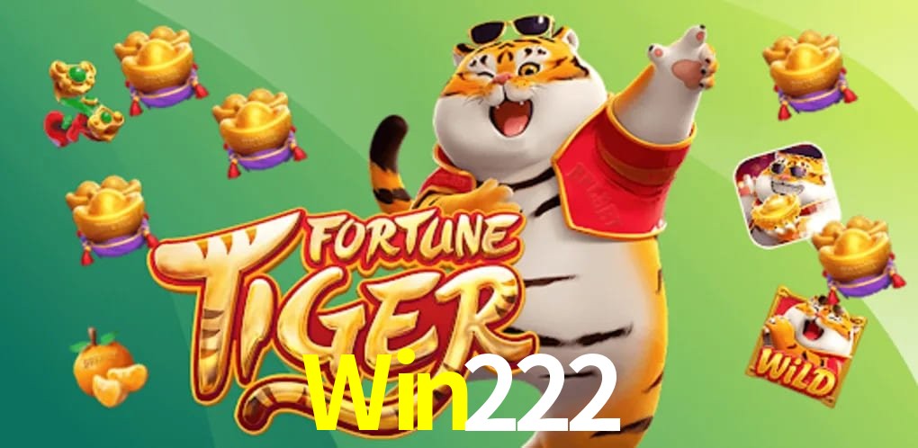 Experiência VIP Win222