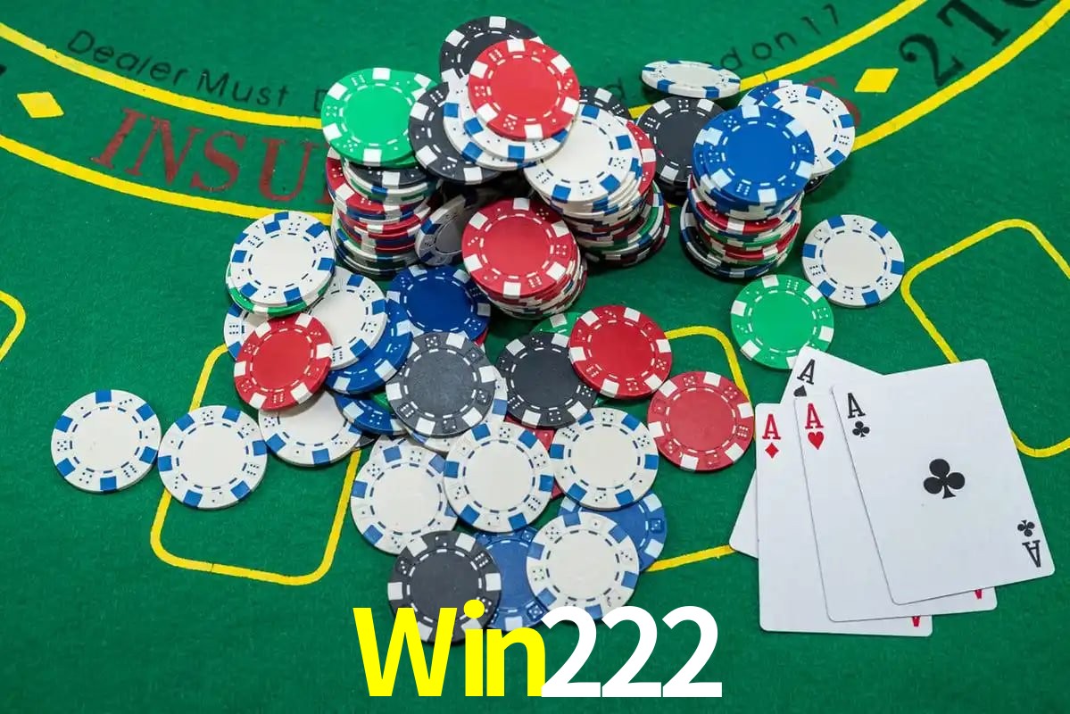 Interface Premium Win222